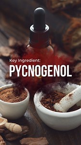  Meet Pycnogenol: The world’s antioxidant powerhouse! Discover how this key ingredient supports your wellness journey. #health #healthylifestyle #wellness #supplements #healthyliving | Nutrametrix | Facebook