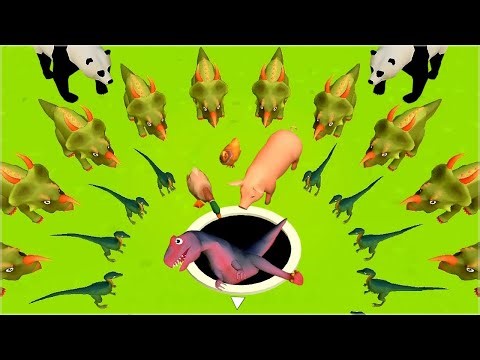 Animole: Animal Hole Puzzle - Gameplay Walkthrough Part 1