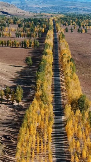 Sharing Travel on Instagram: "We encountered autumn on the grasslands of Inner Mongolia. I used a drone to shoot a video. My original video."