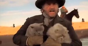 Cowboy herding cats commercial may just be the best we've seen
