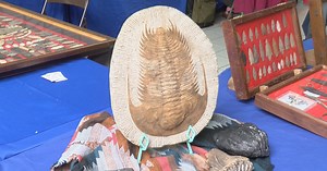 UW-La Crosse and Mississippi Valley Archaeology Center partner for artifact show
