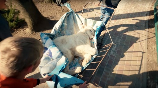 The Story of a Daring Animal Rescue - 'Checkpoint Zoo' Doc Trailer | FirstShowing.net