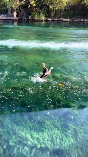 【旅游景点】济南护城河