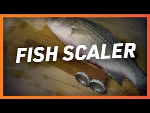 DIY: The Easiest Way to Scale Small Fish!