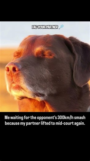 Mid-court lift + opponent power = RIP 💀🏸