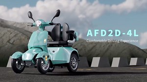 Mobility Scooter with Four Wheels for Adults & Seniors 800W (Green)