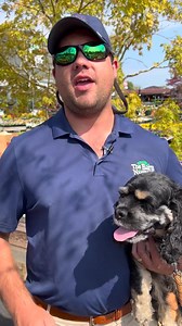 183 reactions · 20 shares | We are loaded with Fall Pansies, Fall Mums, and over 20 different varieties of pumpkins with more plants coming in! What time is it? It's Fall Planting Time ...now go play in the yard! | The Barn Nursery | Facebook