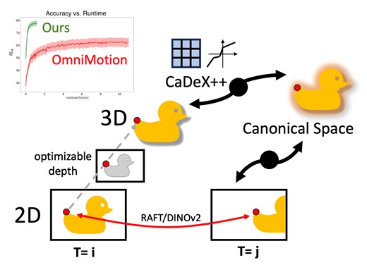 Track Everything Everywhere Fast and Robustly