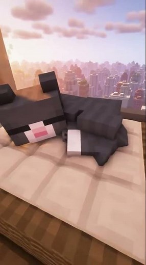 Minecraft Cat Naps on the Couch 🐾💤
