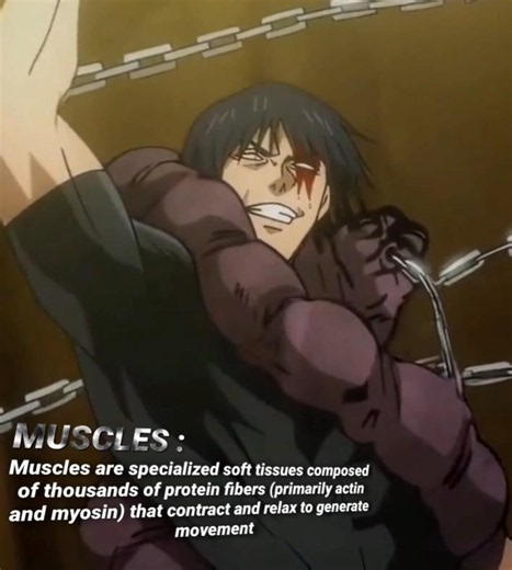 "Muscles 💀" - Toji fushiguro edit | montagem sethron | #jujutsukaisen #anime #edit