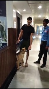 4.7K views · 70 reactions | A kid was in the lift, and when a boy...