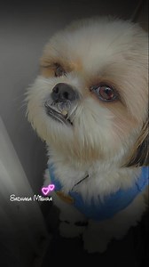 45K views · 3.6K reactions | please comment your baby name 刺﫶  | Sadhana Mishra | Facebook