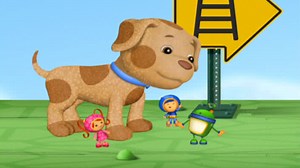 Mira Team Umizoomi, temporada 2, episodio 13: Buster el perro perdido en Paramount  Ecuador