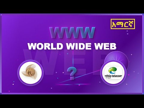 What is the World Wide Web? A Complete Beginner's Guide | AMHARIC