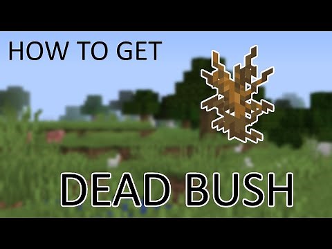 How To Get Dead Bush in Minecraft (Tutorial/Guide)
