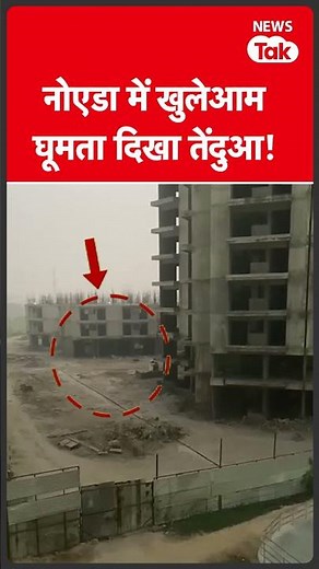Noida शहर में दिखा जंगल से आया तेंदुआ | News Tak