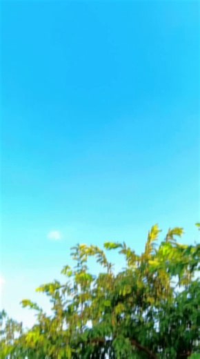 Mahi Bundeli on Instagram: "Bundeli...rai...🥺🫵🌸 @miss_mahi_bundeli_100k #like #comment #followforfollowback #bundeli #bundelisong #bundelirai #bundelivideo #bundelireels #training #viral #viralvideos #viralreelsvideo❤️ #newreelsvideo❤️ #newreelsvideo😘❤️❤️🙈😍 #newreelsvideo😘❤️❤️🙈😍please_guys_support_me_and_like_me_follow_me_please #newpost😍 #🎂要怎麼不經意的讓另一一半看到這篇文👀 #🎂要怎麼不經意的讓另一半看到這篇文👀儀式感滿滿🈵🔜蛋糕小熊蠟燭旋轉禮盒🕯️嘿"
