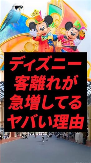 Disneyland: The shocking reason why customer attrition is soaring