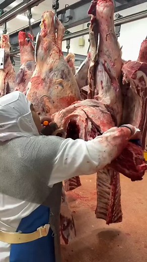 1.8K reactions · 41 shares | MEAT Cutting Export | Meat Cutting Exports | Facebook