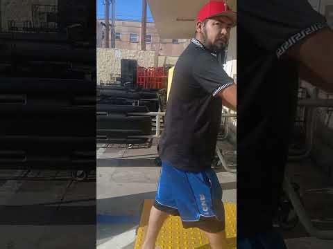 Pups acting like cartoon characters. (Mary Jane & Miss Dinky)