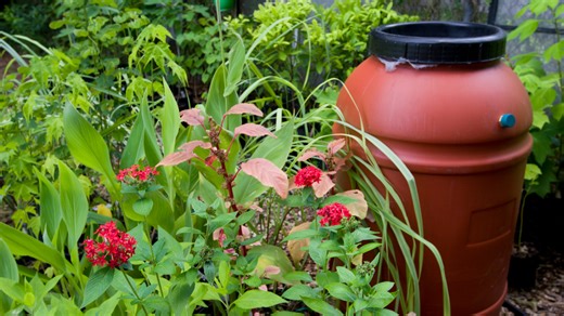 Urban flooding solutions: What you can do in your yard