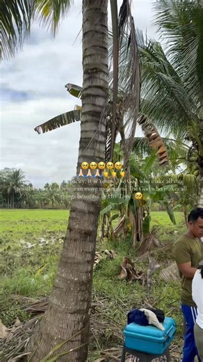 🙏🏻🙏🏻🙏🏻 Relocating the area Our journey in farm life. Starting new! #farmlife | The Farm Project