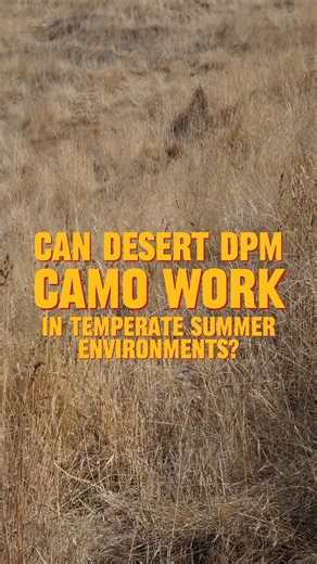 4.1K views · 42 reactions | Can you spot desert DPM man NOT in the desert? We are far removed from any kind of desert terrain here in the land of the kiwi, however while its dry out it begs the question - is this camo remotely usable here during Summer? We will have a new vid going up on youtube soon in 4k (and yes, with more variance as well as no cover!) 藍 #camouflage #military #ddpm #britisharmy #camo #desertstorm #dpm #army #ally | Army and Outdoors | Facebook