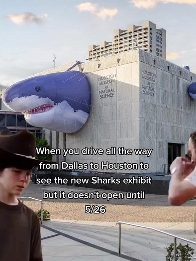 Sharks! The Meg, The Monsters, & The Myths 🦈 #museumtok #newexhibit #sharks