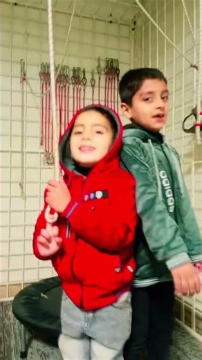 How Body Vibrator Stand-On Machine Works | Vibration Plate Working Explained #electricalinstallan