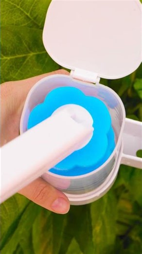 Magical Toilet Bowl Cleaners: The Ultimate Life Hack! 🚽✨
