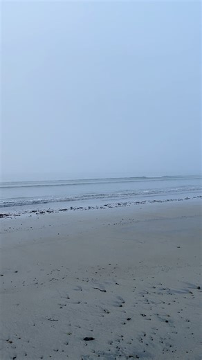 6.2K views · 147 reactions | Early Morning Beach Walk at Summerville Beach, Nova Scotia. The Quarterdeck Resort. Peaceful way to start the day. Janet Balcom Consulting | Cookin' Cuttin' Up and Ceepin' it Real | Facebook