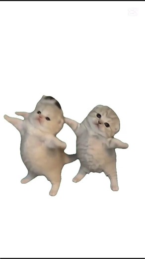 3 kittens dancing #cat #catdance #kitten #ai #capcut #dance #fyp #foryou #funny