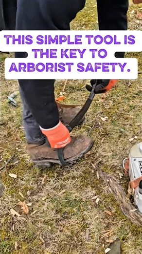 Arborist Safety Equipment When Climbing Trees 🌳 Lifesavers at Heights! #arborist