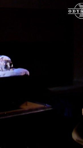 29K views · 511 reactions | The discovery of a 5,000-year-old mummy in Africa is raising questions. Was mummification knowledge born in Egypt, or did it originate in the central Sahara? This find suggests the practice may predate Egyptian mummies by 1,000 years. #mummy #mummification #Egypt #Sahara #history #archeology | Odyssey - Ancient History | Facebook