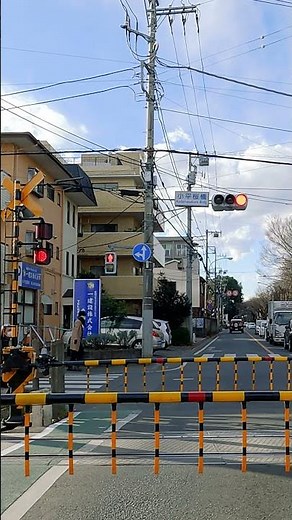 Railroad Crossing | Train Passing in Tokyo Japan | Seibu Tamako Line