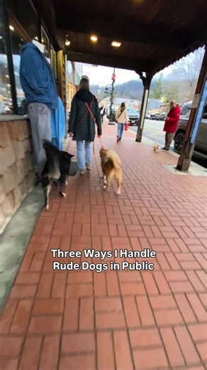 6.3K views · 5 comments | Too many owners overcomplicate what to do...