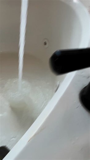 68K views · 3K reactions | Bath time! Looks like baby Mavie might be following in big sis Alita’s splashy footsteps. #FrenchieBathTime #BulldogDivas #PuppySpaDay #SqueakyClean #BathTimeFun #FrenchieLove #DogMomLife #AlitaAndMavie #TinyDivaMoments #PuppyPampering #FrenchBulldogPuppy #SassySisters #BulldogMoments | Bulldog Divas | Facebook