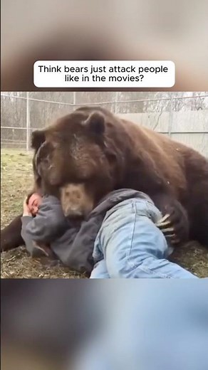 Touching reunions between animals and their beloved humans 2025 #3