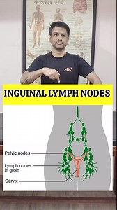 159K views · 1.9K reactions | Best Exercise for Swollen Lymph Node in Groin Region Relief #shorts #tranding | Dr.Nishant Gautam | Facebook