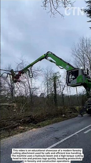 High-Power Tree Cutting Machine – Modern Forestry Innovation!
