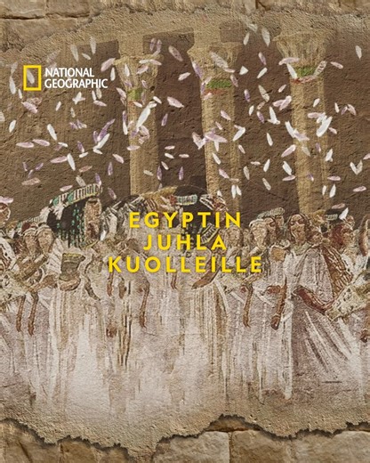 Arkeologit tutkivat kätkettyjä hautoja ja kadonneita temppeleitä selvittääkseen, miten Tutankhamon muutti muinaisten egyptiläisten tapaa palvoa jumaliaan. Egyptin kadonneet aarteet | lauantai 21.00 | National Geographic #NationalGeographicSuomi | National Geographic TV Suomi
