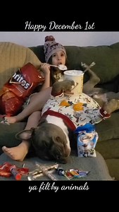 Eating junk and watching rubbish all month long 😂😘 *filmed December 2019. Lebowski was truly one of a kind, the fact that he was surrounded by snacks, icecream rested on his belly and played cool through it all still gets me 🤭🥹❤️ (watch his foot at the punchline 😂) #homealone #december #agirlandherdog | Scarley's World