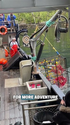 5 Ketchikan Excursions in Under 60 Seconds