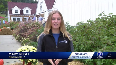 Nebraskans kick off fall with Applejack Festival