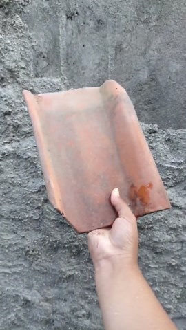 Alan Official123 | Tutorial masak lele laut #tutorial #reels | Instagram