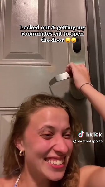 Understanding Cat Behavior: 140 IQ Kitty Insights