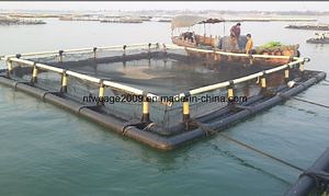 [Hot Item] Deep Sea Opening Farming Fish Net Cage