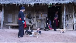 28K views · 2K reactions | Dab nkauj xis txaus ntshai heev li | Suab Nkauj Kho Siab | Facebook