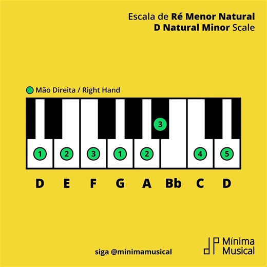 D Natural Minor Scale (Right Hand - Piano) #piano #pianist #pianista #teoriamusical #musictheory #pianotutorial #aprendanotiktok #aprendeentiktok #aprendecontiktok #pianoscales #minorscale #minor #minorscales #keyboard #explorar #explore #fy #foryou #fyp #fypシ #fypage #fypシ゚viral #fyppppppppppppppppppppppp