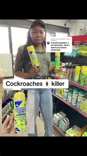 Effective Fumigation Solutions for Cockroach Issues